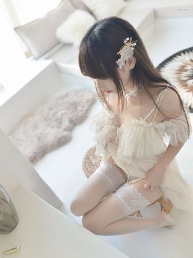 堕落的女律师在线观看