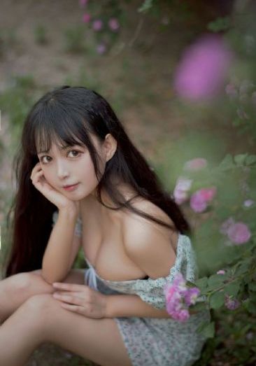 1—60集电视剧免费观看