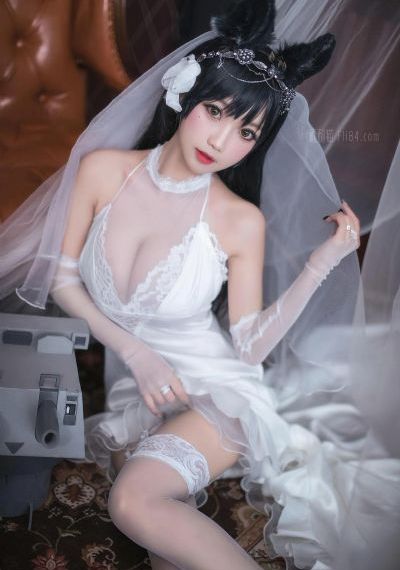 花儿与少年丝路季免费观看