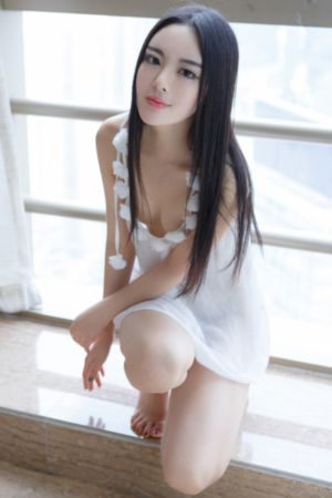 怪侠一枝梅 电视剧