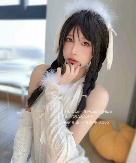 航海王动漫免费观看全集动漫