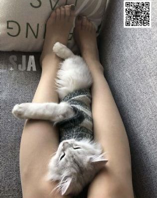 浮力第一页