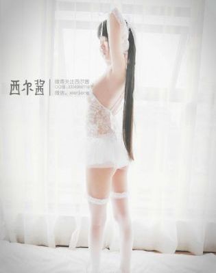金晨