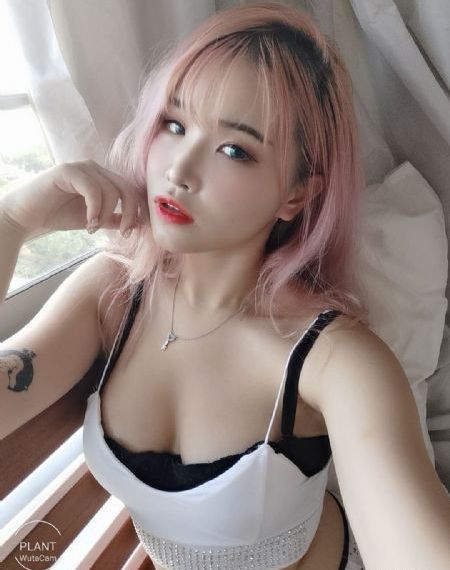 玉海棠电视剧