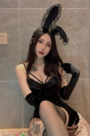 去有风的地方电视剧免费