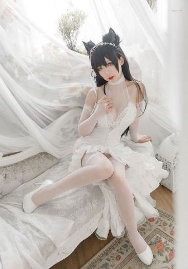 冷血人狼在线观看