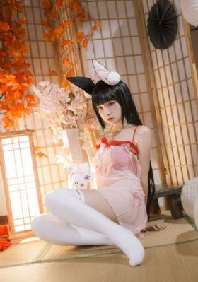 女总裁的绝世保安40集